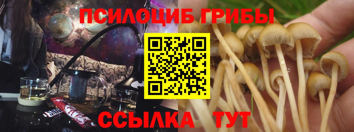Галлюциногенные грибы GOLDEN TEACHER Подольск